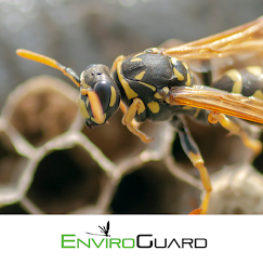 EnviroGuard Pest Control