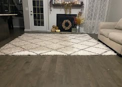 A Action Steamer Carpet Cleaning