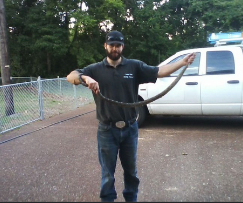 Critter Gitter Wildlife Removal