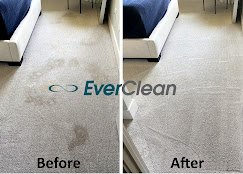 EverClean Nashville