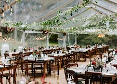 Curated Events