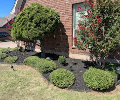 Mow Mentum Lawn & Landscaping LLC