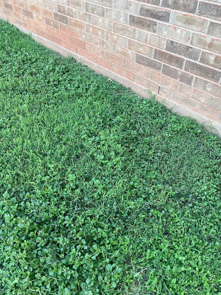 Shaw Landscaping