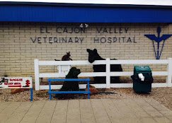 El Cajon Valley Veterinary Hospital