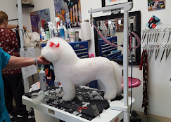 Need Us Bark Us Dog Salon & Spa