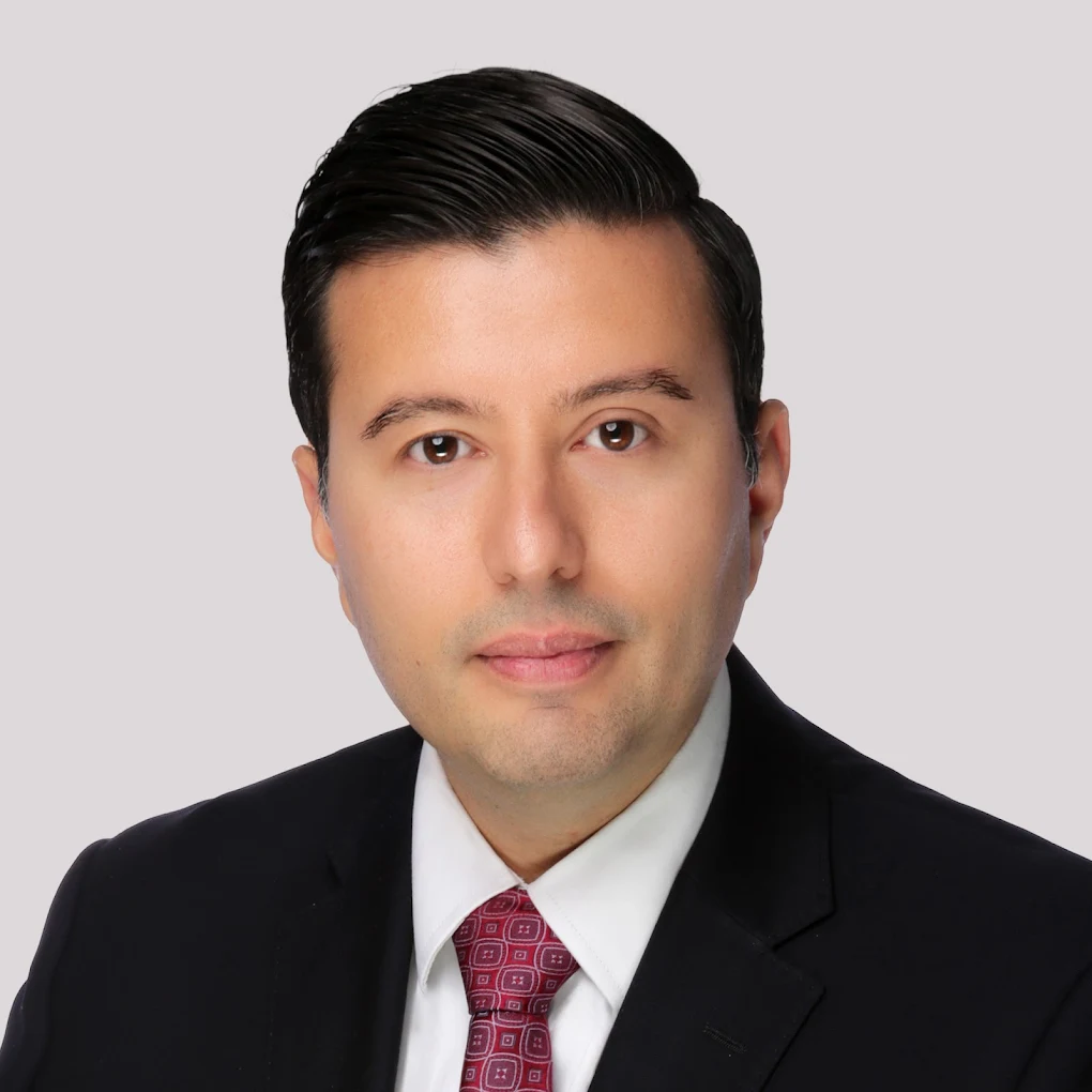 Vistas Law Group, LLP : Louie A. Ruiz