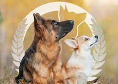 Dog Training Elite