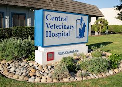 Central Veterinary Hospital