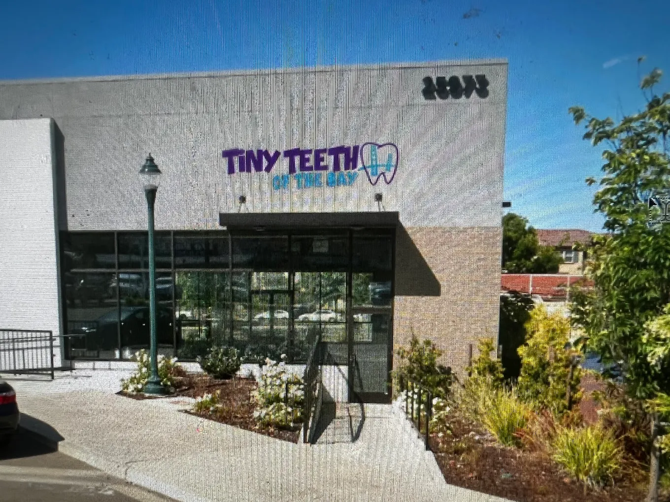 Tiny Teeth of the Bay Pediatric Dentistry