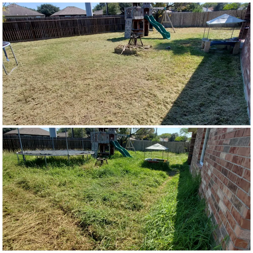 The Lawn Ranger and Pronto Services