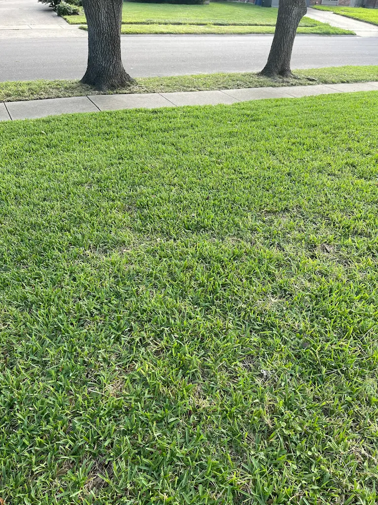 Victor's Lawn Care Service