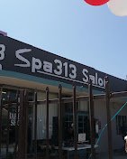 Spa 313