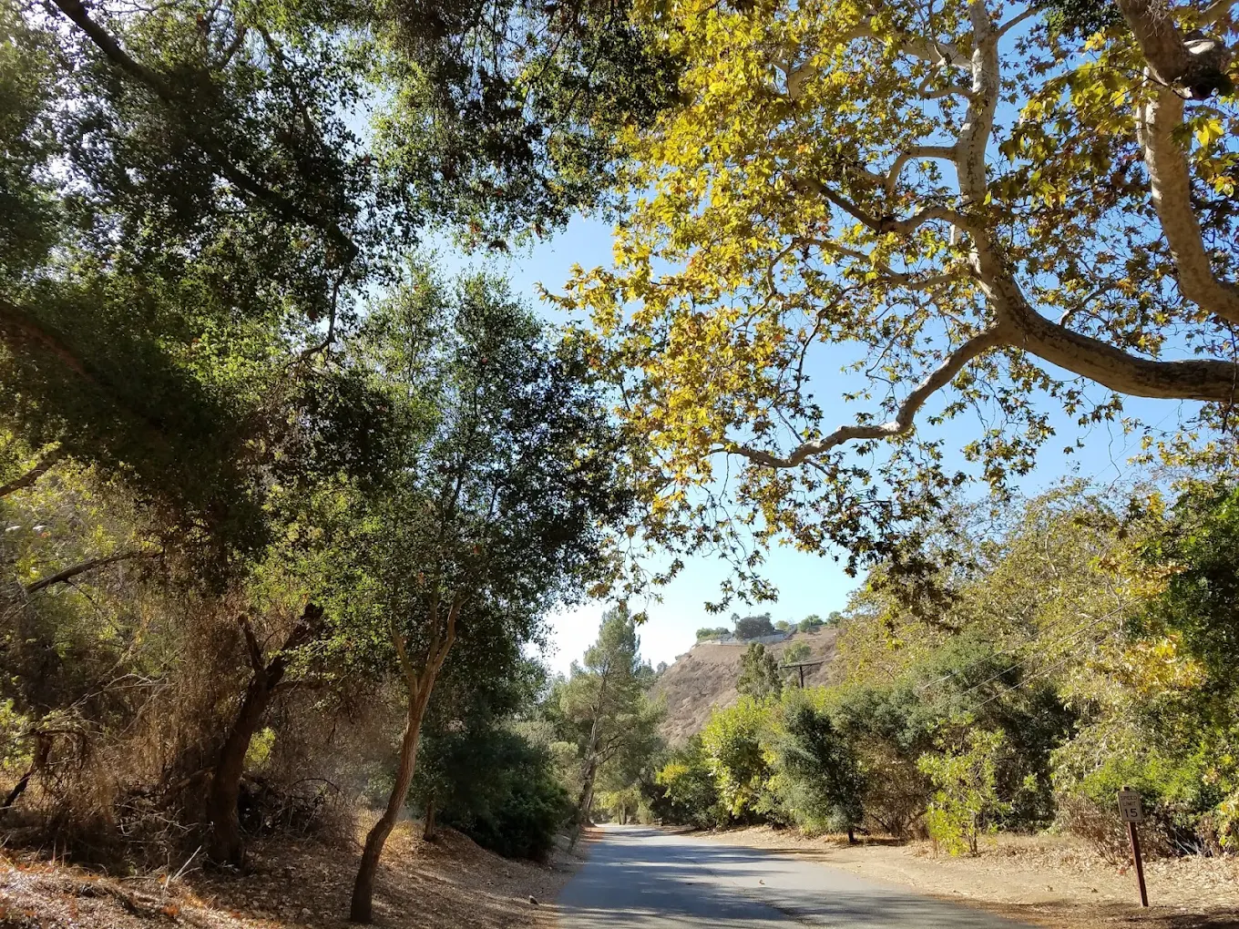 Franklin Canyon Park