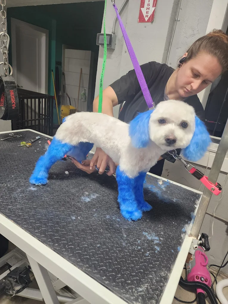 Penny and the Wolf Pet Grooming