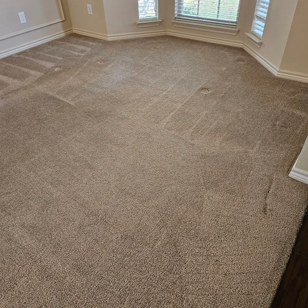 Clean Master Carpet Cleaning