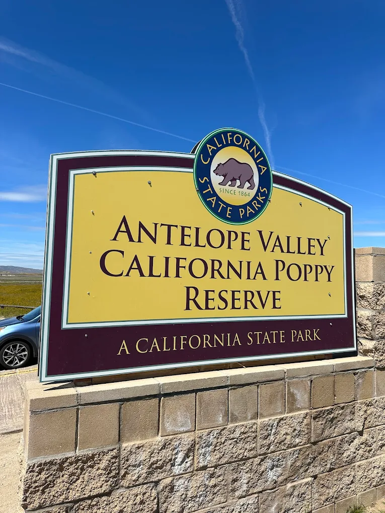 Antelope Valley California Poppy Reserve State Natural Reserve