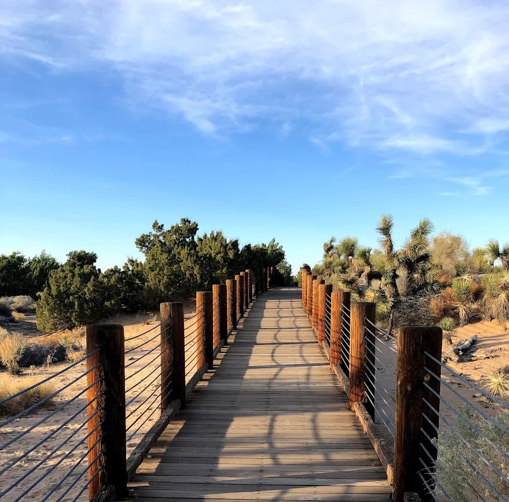 Prime Desert Woodland Preserve