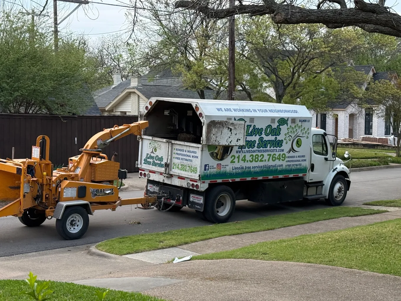 Live Oak Tree Service