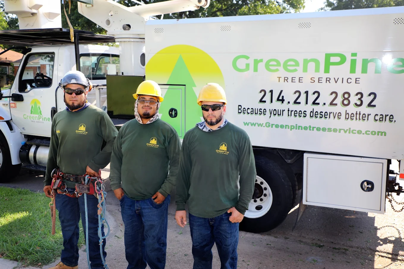 Green Pine Tree Services
