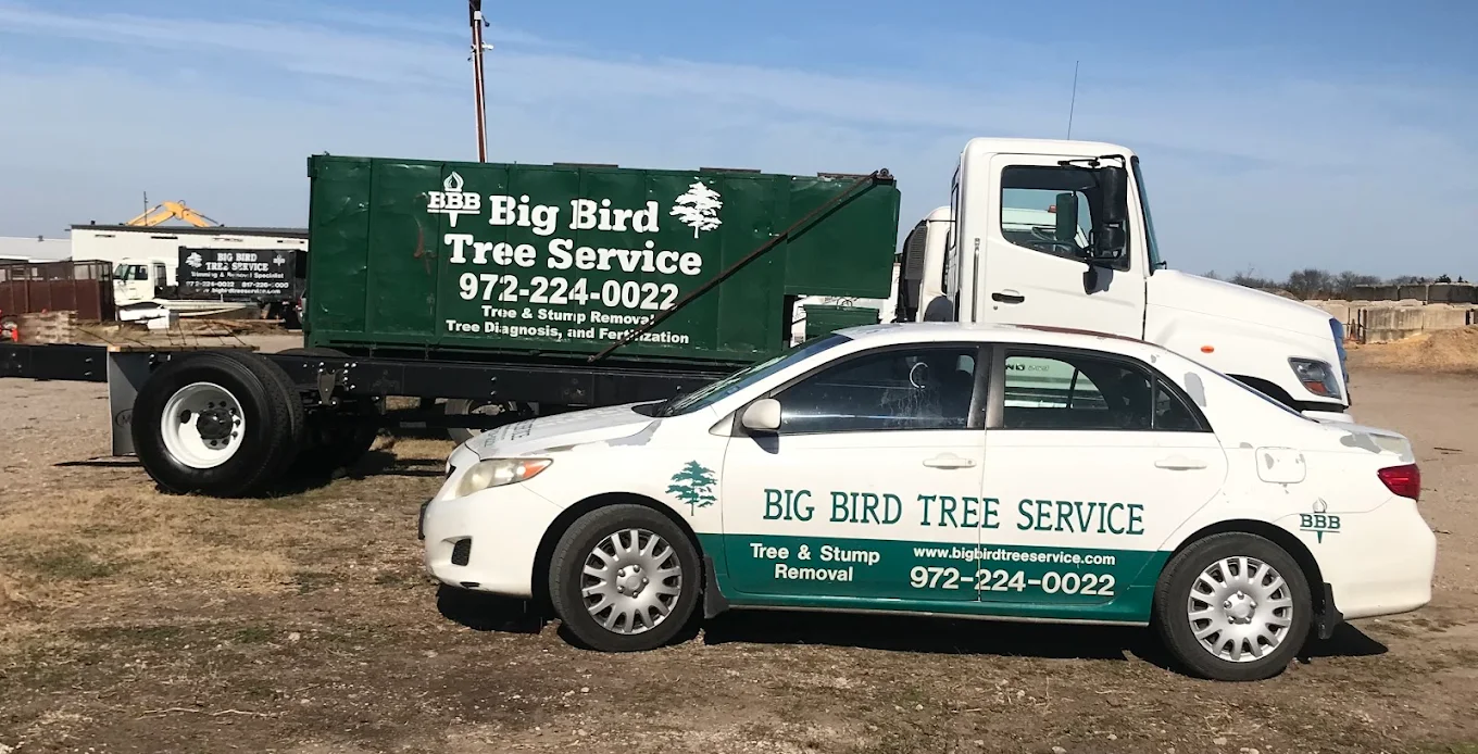 Big Bird Tree Service