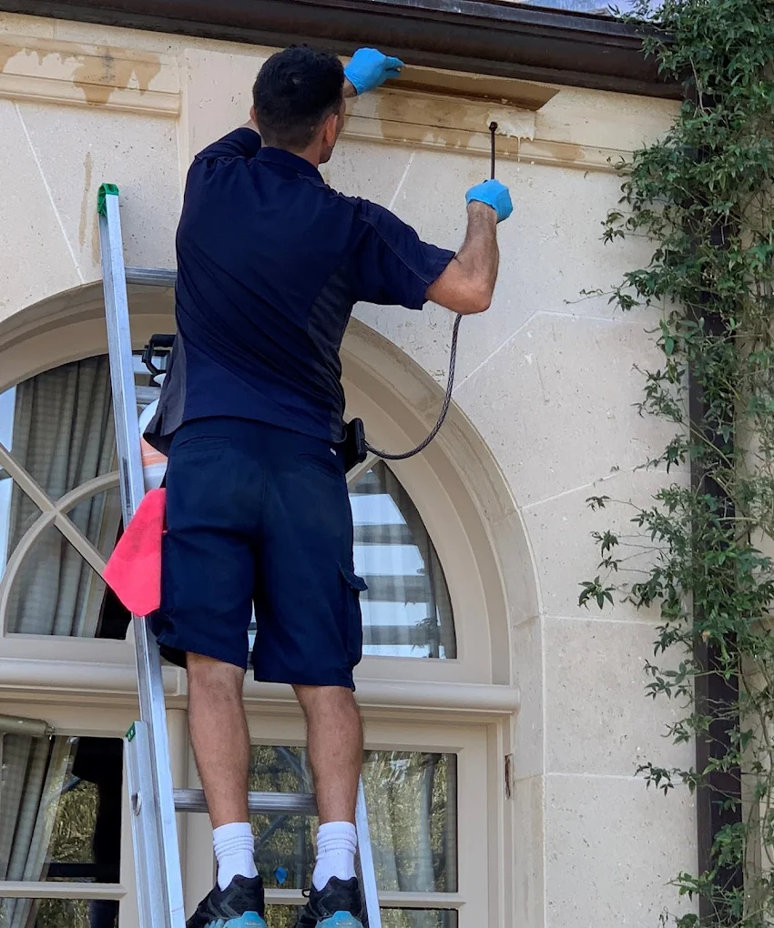 Paneless Home Services