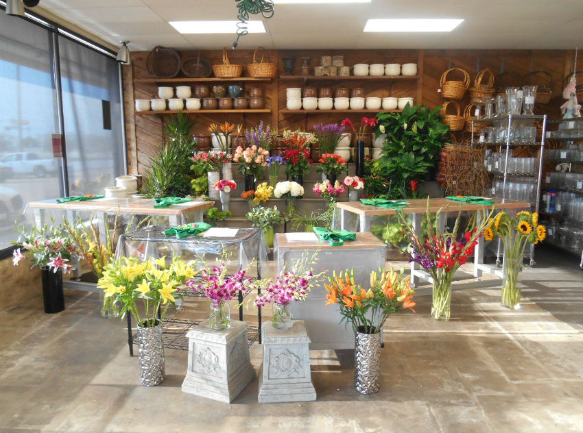 Petals & Stems Florist
