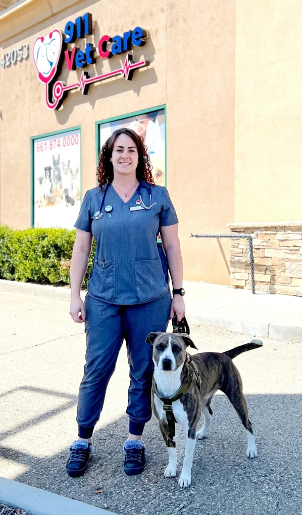 911 Vet Care
