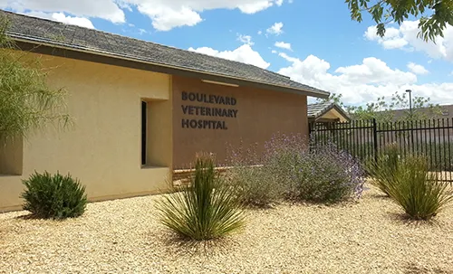 Boulevard Veterinary Hospital