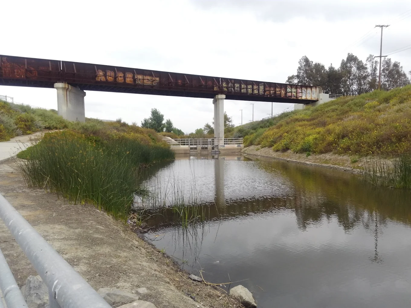 Dominguez Gap Wetlands
