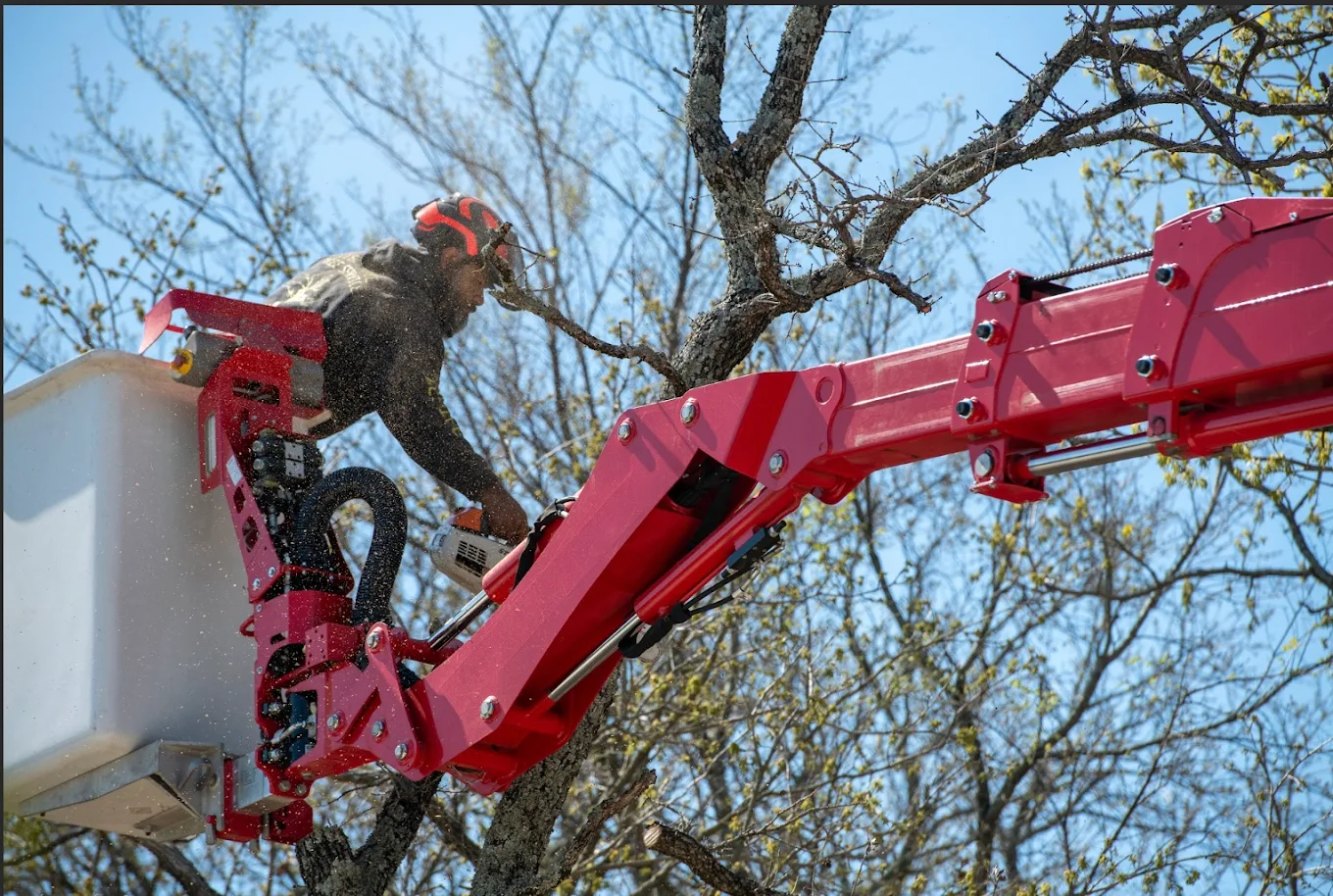 Clean Edge Tree Service