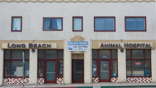 Long Beach Animal Hospital