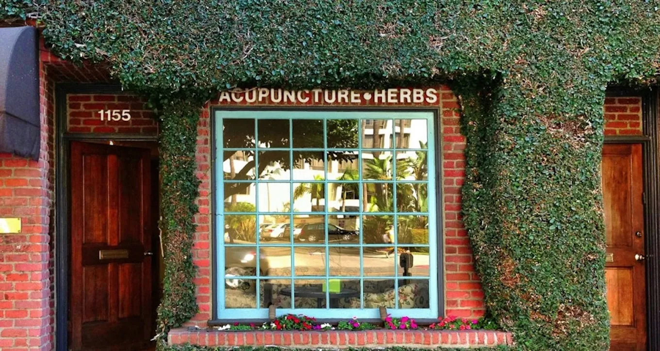 Robert Youngs Acupuncture
