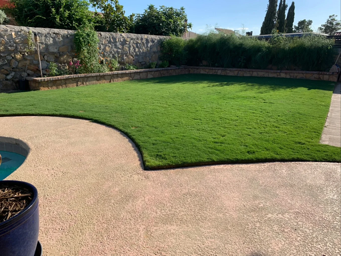 Sun City Lawn Care