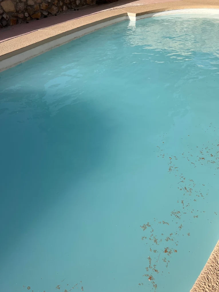 Aquatica Pool Services