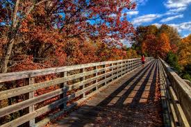 Virginia Trail