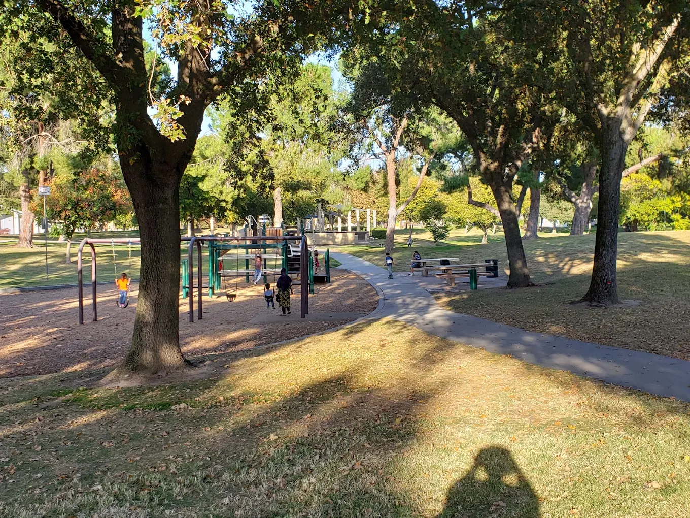 Davis Community Park