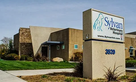 Sylvan Veterinary hospital