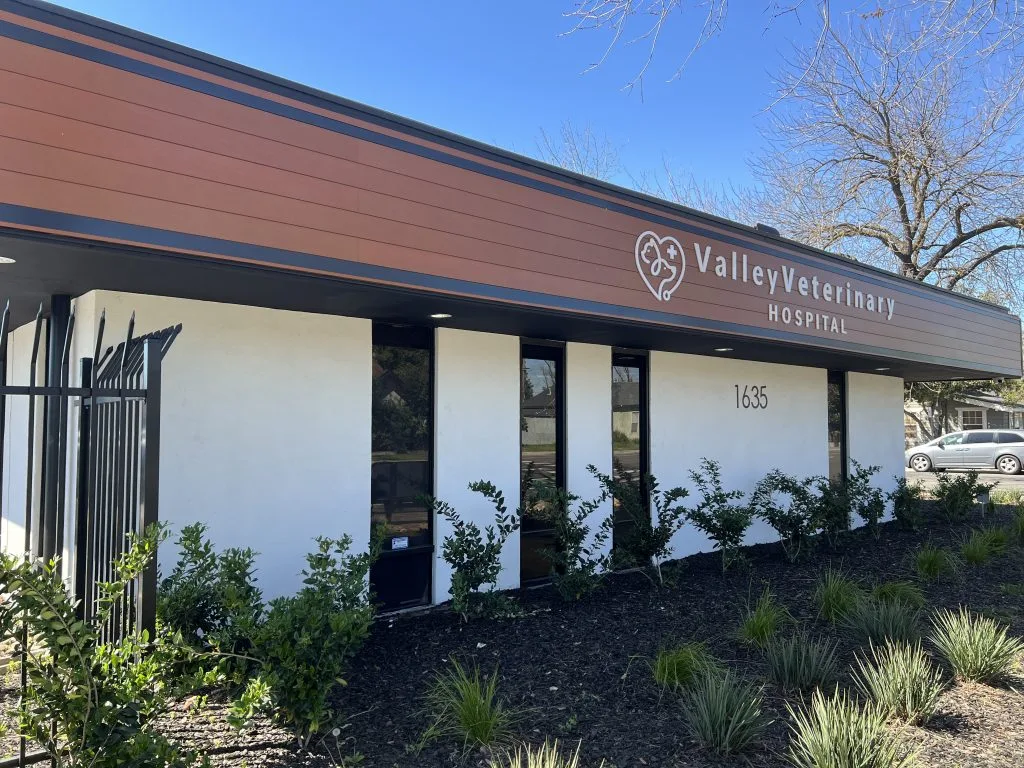 Valley Veterinary Hospital