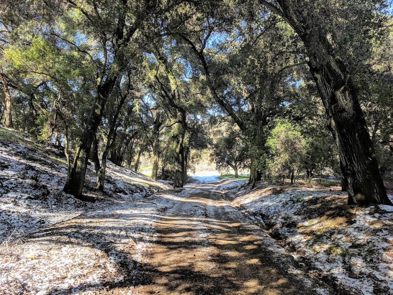 Wildwood Canyon State Park