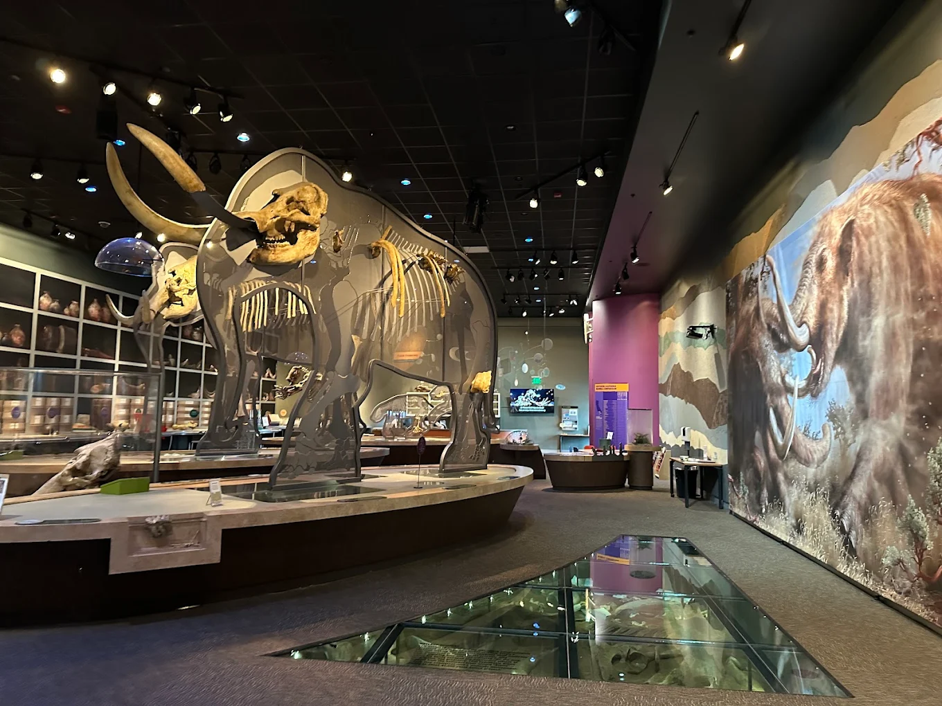 Western Science Center