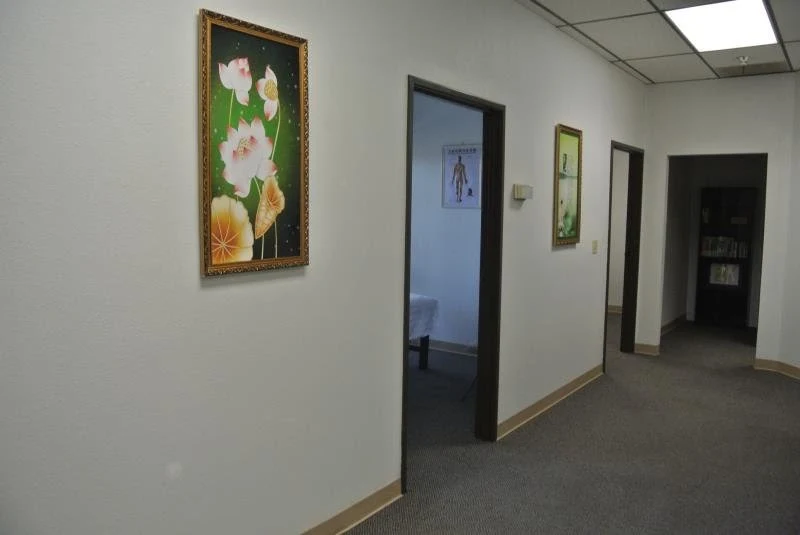 Jenny Zhai Acupuncture