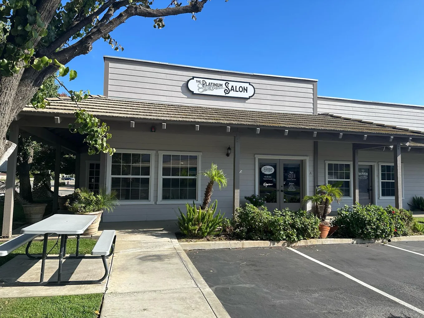 The Platinum Salon