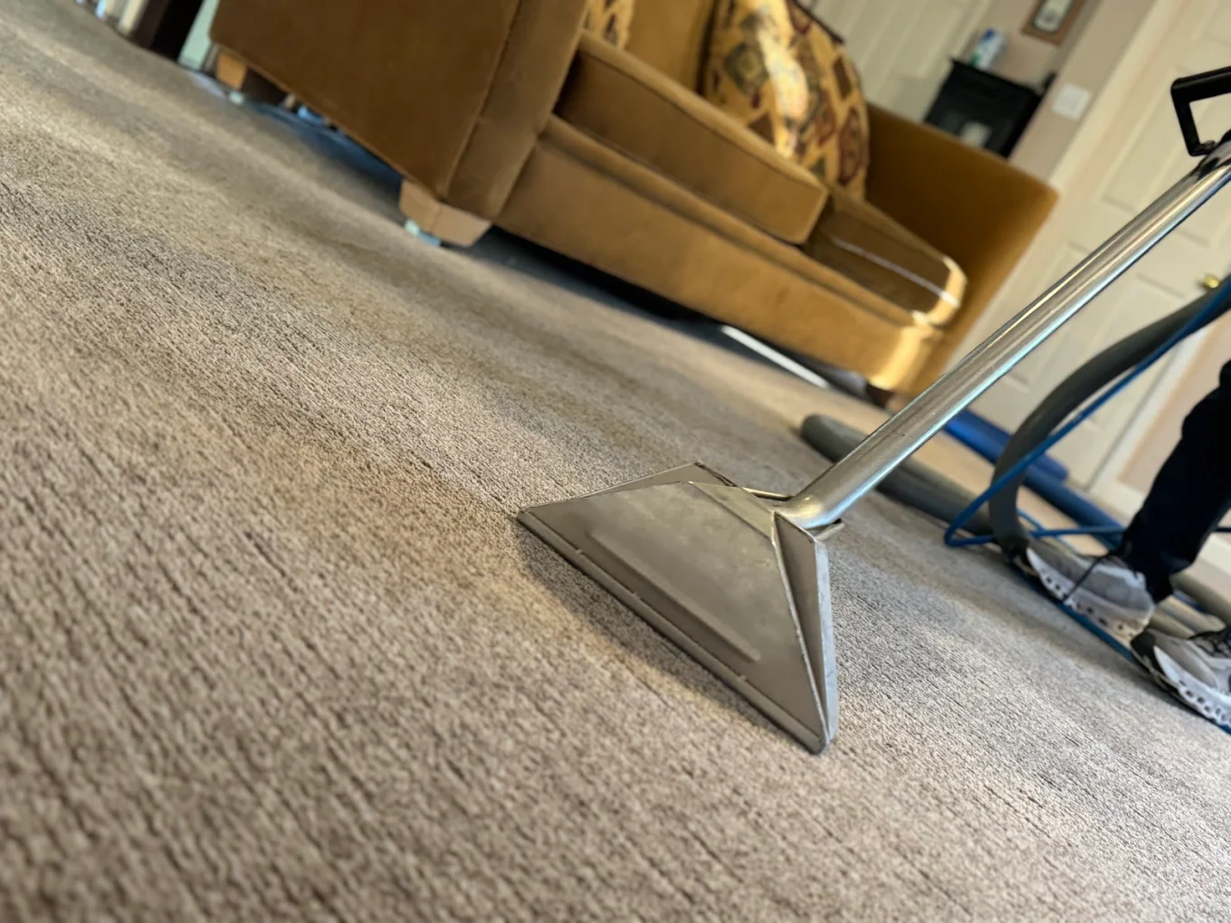 Power Steam Carpet Cleaning