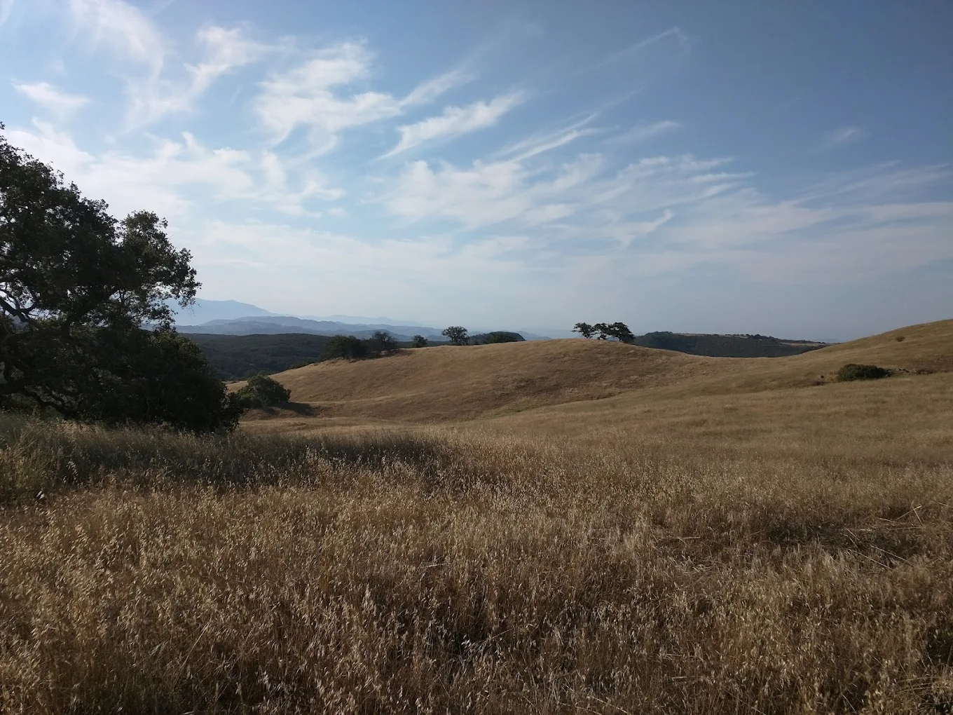 Santa Rosa Plateau Ecological Preserve