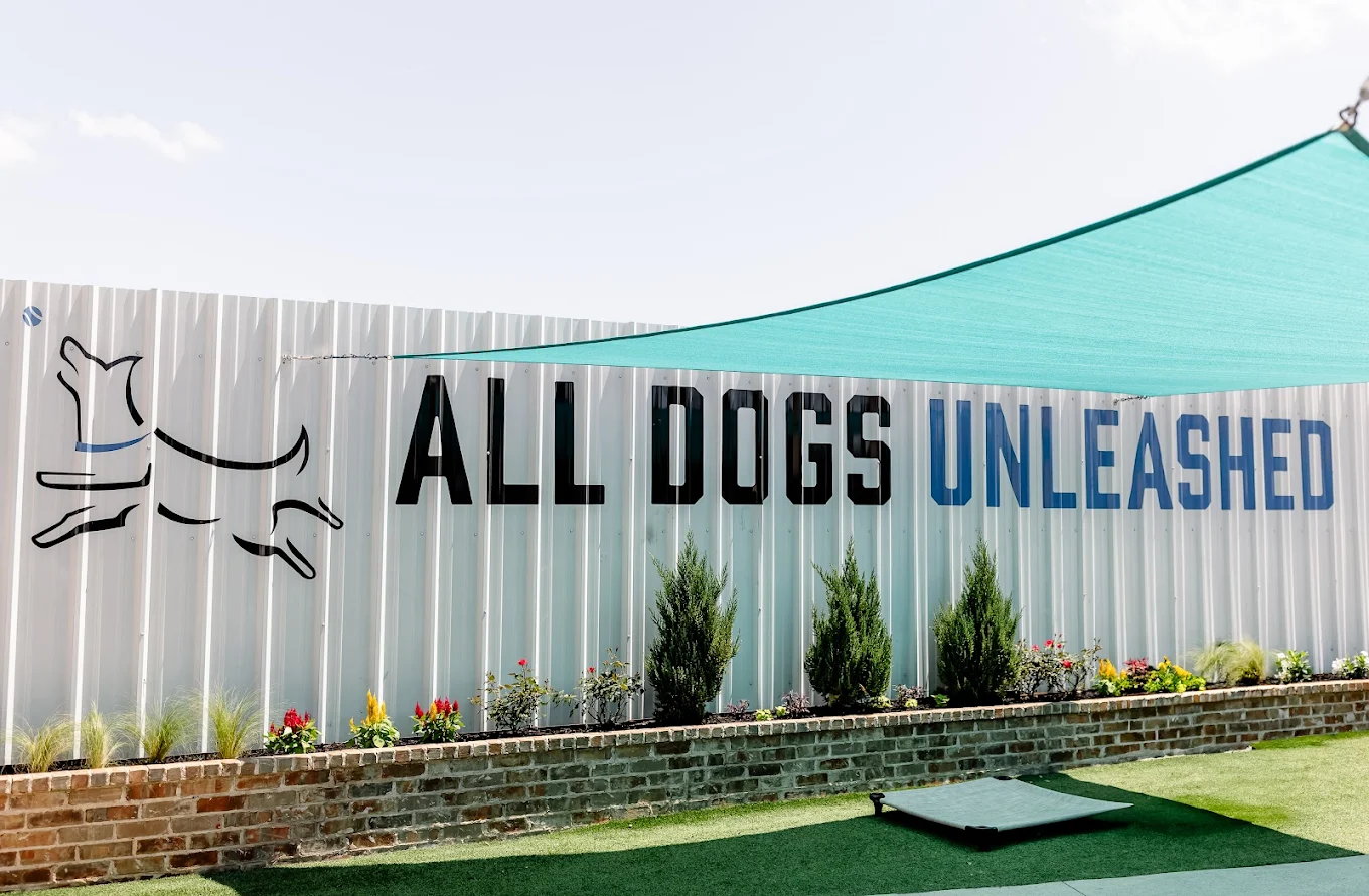 All Dogs Unleashed Dog Training