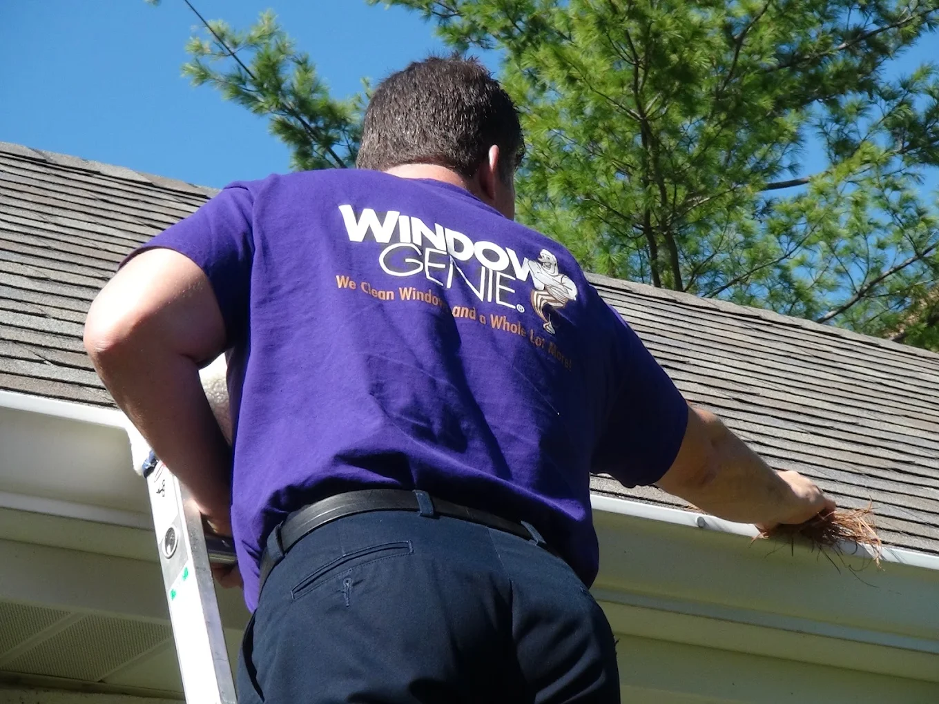Window Genie