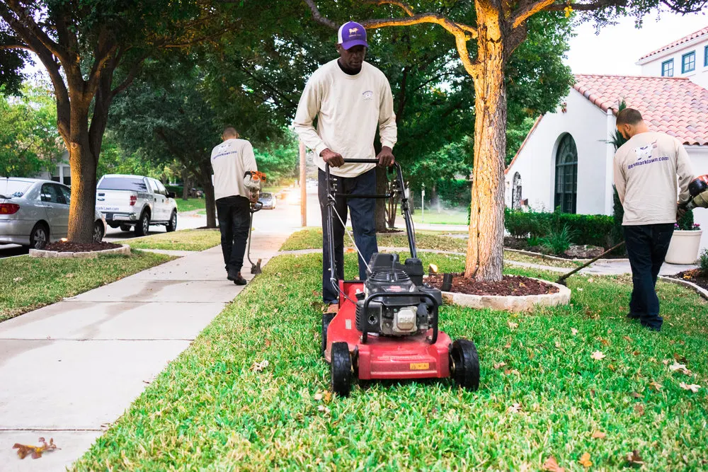 Denmark Lawn