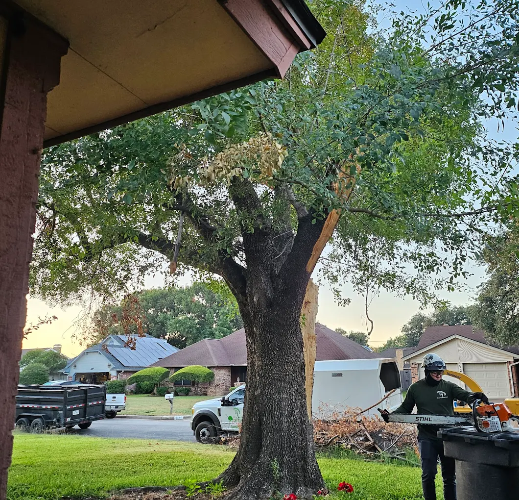RJ Tree Service