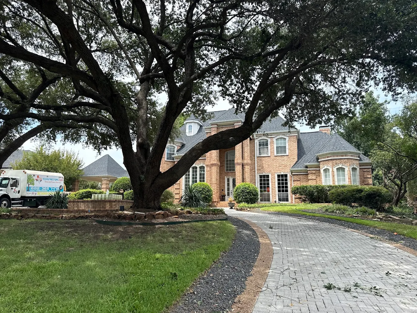 Texas Tree Tops-Tree Services LLC