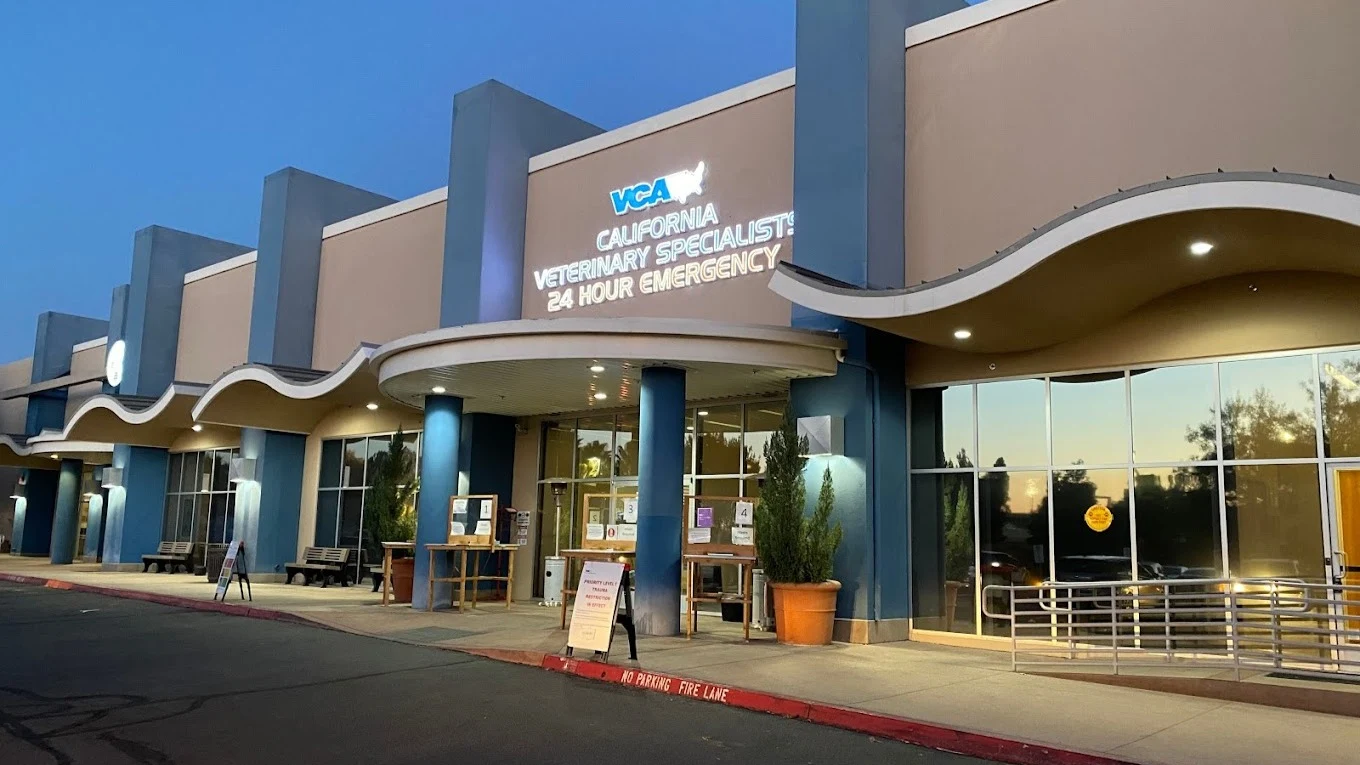 VCA California Veterinary Specialists-Murrieta